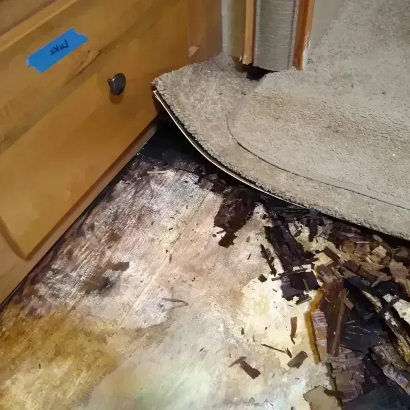 Wood Floor Water Damage in Moody, AL